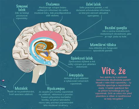 Infografika: Jak funguje paměť sedačky a karty