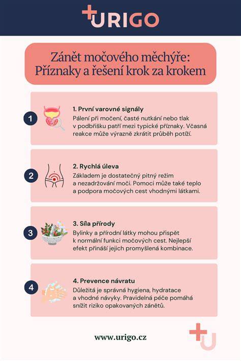 infografika: údržba turba krok za krokem
