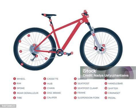 illustration of MTB tire components