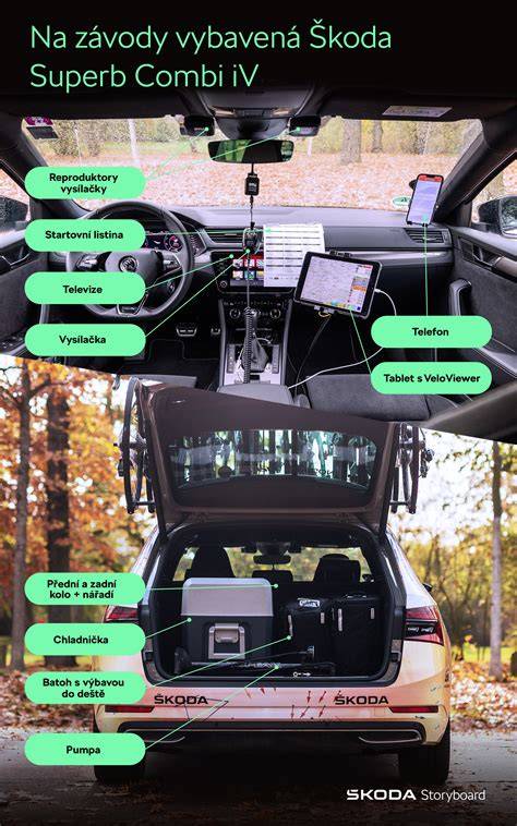 Infografika o službách autoservisu