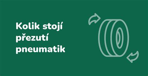 přezutí pneumatik vizualizace času