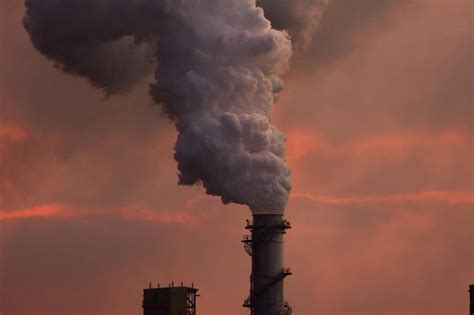 Ilustrace zachycující pyl a prachové částice na povrchu kabinového filtru