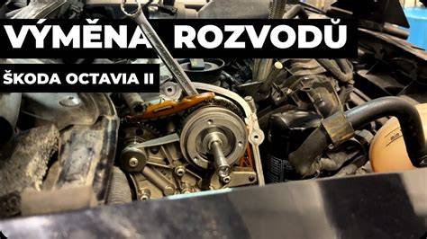 výměna rozvodů octavia3 schéma mechanismu