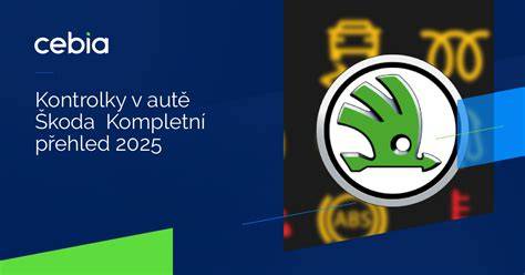 infografika_kontrolky_aute_skoda