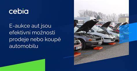 Prodej automobilu: ilustrace procesu prodeje