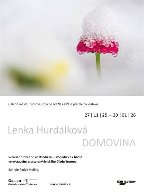 Luxusní auto plakát ve výstavním prostoru