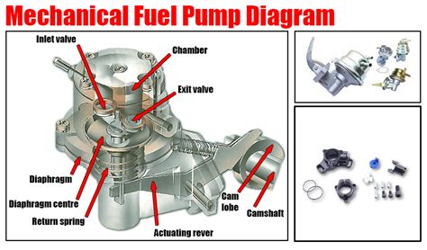 schematic diagram of fuel pump mounting and timing