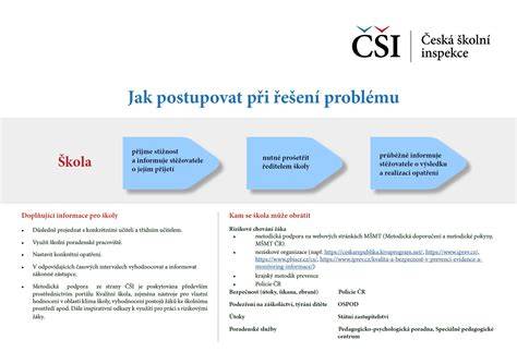 Infografika: EPB servisní postup