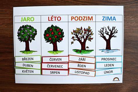 Diagram: Rozdělení typů pneumatik podle ročního období