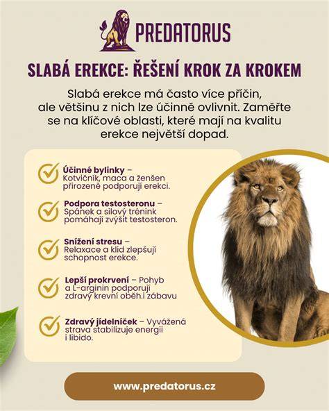 Infografika: Jak vyměnit stěrače krok za krokem