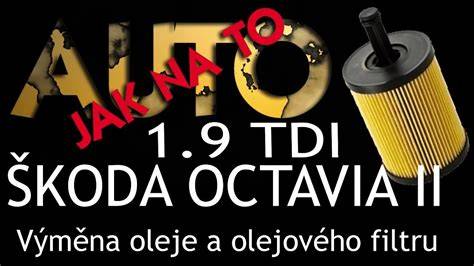 Infografika: Rozdíly mezi typy palivových filtrů pro Škoda Octavia II 1.9 TDI