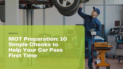 schematic of MOT process and checks