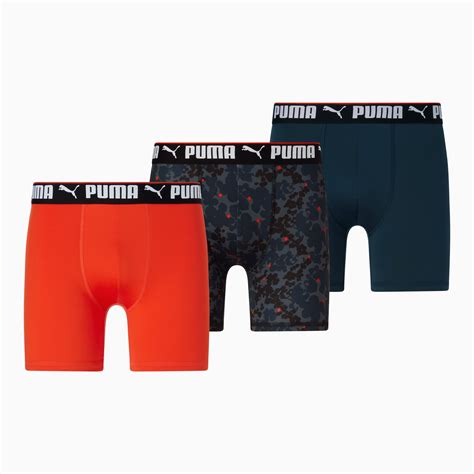 Schéma pracovních toků a interakcí Boxer a Puma v logistice a velení