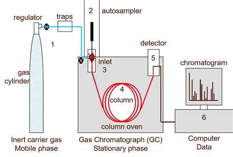 GC chromatography setup infographics