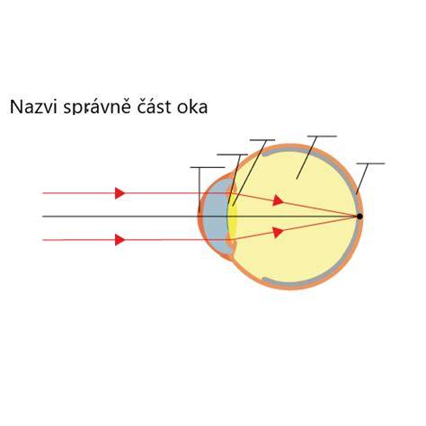 optická soustava puškohledu diagram