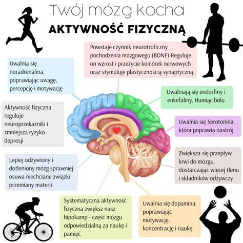 emissni-kontrola-nymburk-infografika