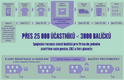 Infografika o logistických kategoriích balíků