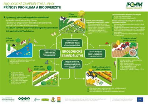 infografika procesu ekologické likvidace