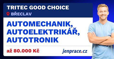 infografika o programech automechanik a autotronik