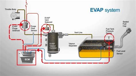 Téma obrázku: schéma EVAP systému u plug-in hybridů