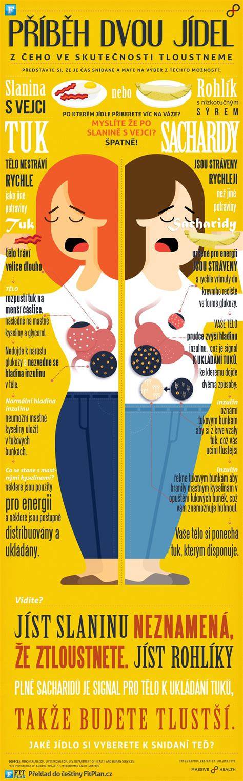 Infografika struktury dvou převodů ve voze