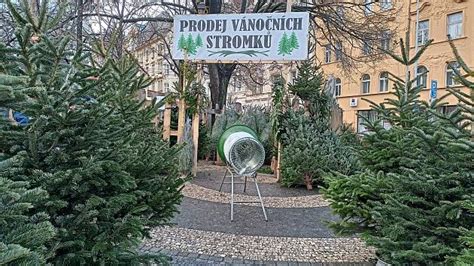 prezentace_vanočních_stromku