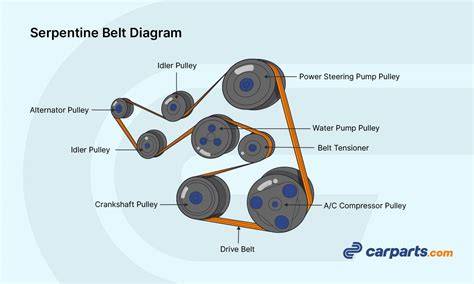 schematic diagram of serpentine belt routing