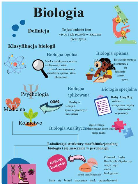 infografika meziplyn v jízdě