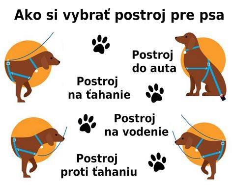 Infografika: Jak vybrat správný vůz pro vaši cestu do Kostariky