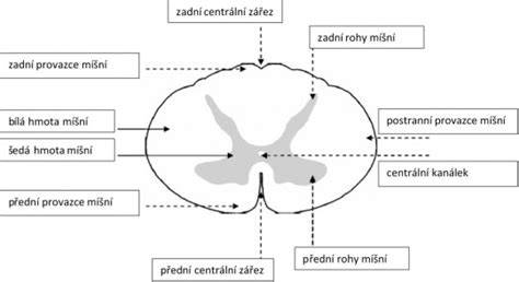 Scenické světlomety schéma a průřez