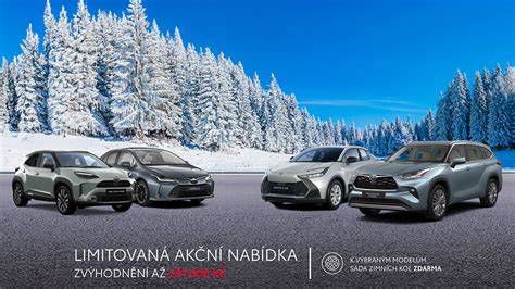 Infografika ukazující pobočky Toyota Louwman a jejich služeb: prodej nových vozů, ojetin a servis