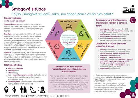 infografika_devadesatkova_autobazarova_situace