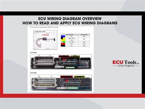 Diagram spojení imobilizéru a ECU