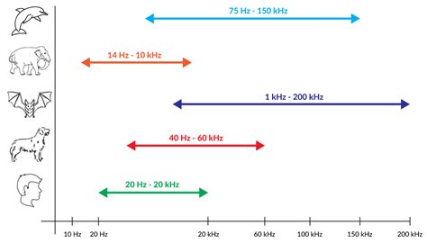 infografika frekvenční rozsah FM