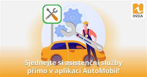 infografika ppojišteni a asistenční služby
