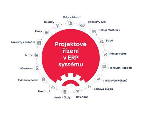 infografika harmonizované kódy řízení s protézou