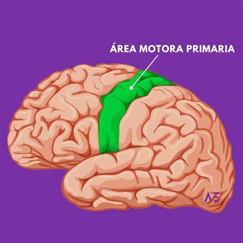 infografika_priciny_cukani_motora