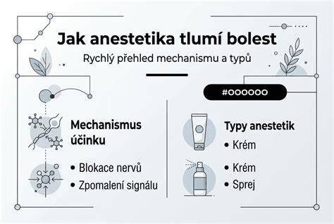 Infografika: Jak fungují cookies a jejich typy