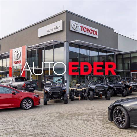 Infografika: Strukturа servisu a showroomů Auto Eder a.s.