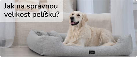 Infografika: Jak vybrat velikost klece podle psa a kufru