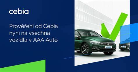 Infografika: Jak probíhá prověření vozidla a VINTEST