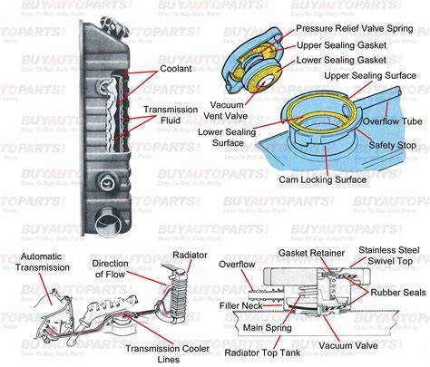 Exploded diagram of 206 radiator seal system