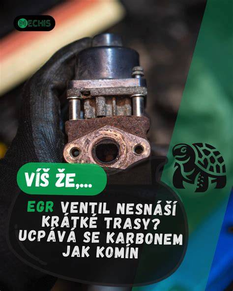 Infografika: Jak funguje start při studeném a teplém motoru