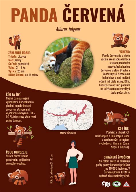 infografika-kompatibilita-radií.jpg