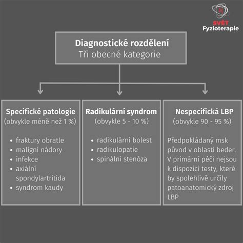 Infografika: Hlavní služby autoservisu a proces diagnostiky