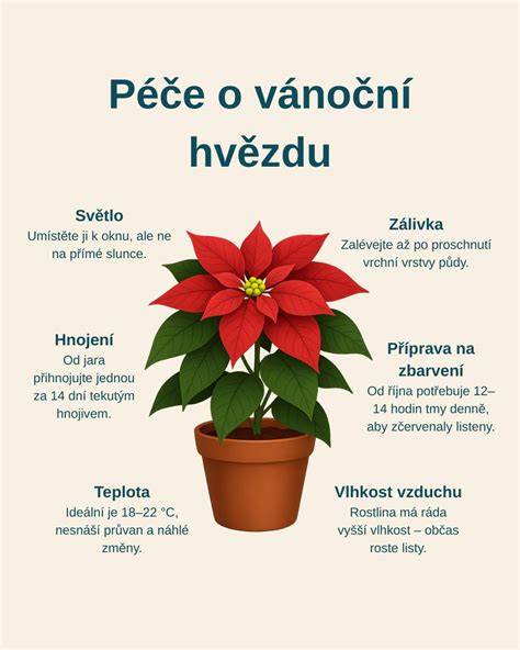Infografika: zimní péče o auto - ochranné vrstvy, parní čištění, servis