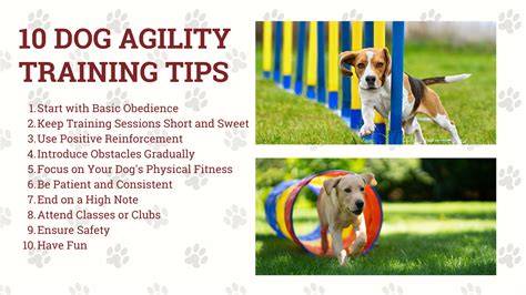 Agility packy a jejich použití