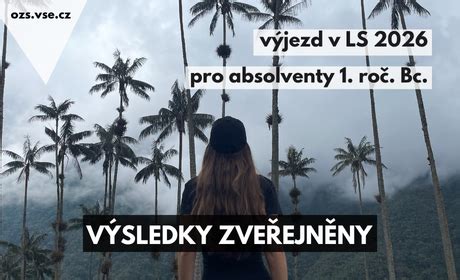 Infografika: Přehled postupu a výsledků výběrového řízení