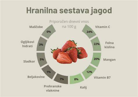 infografika_sestava_tempomatu.png