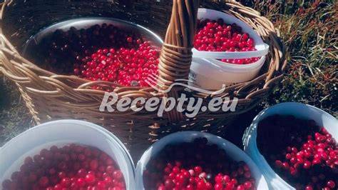 obr_5_recepty_brusinky.jpg